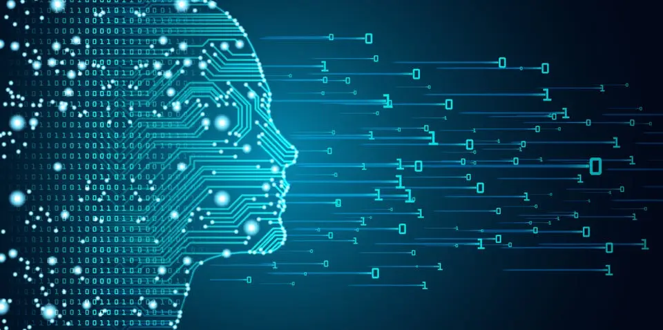 AdobeStock 205110625 Converted 1200x598 1